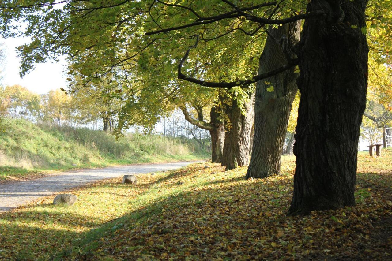Ferienwohnung Am Weltnaturerbe Grumsin Ziehten Exterior foto